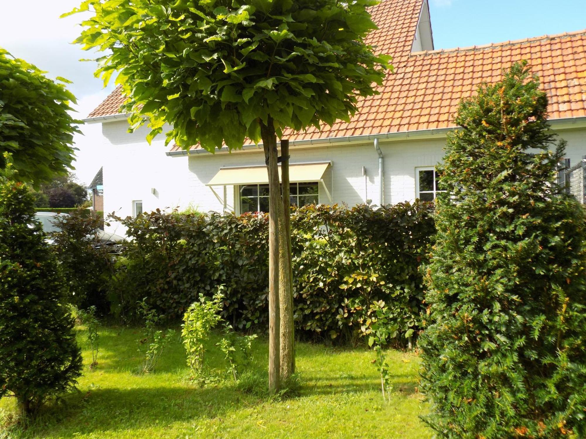 Villa Mooi Maasland Maaseik Esterno foto